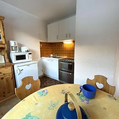 Apartman Montagne Pres Des Pistes Et Commerces - 4 Couchages - Parking Prive - Fr-1-330f-90 *
